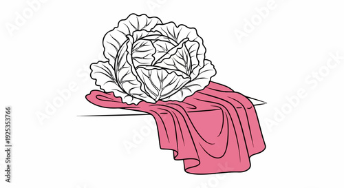 Line art of a crisp cabbage resting on a draped pink cloth