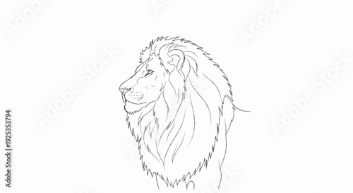 Line art profile of a majestic lion with a full, flowing mane