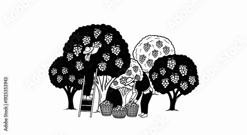Stylized grape harvest with workers picking fruit into baskets