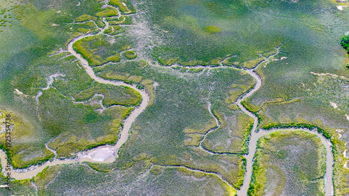 Принти на полотні Aerial view of Charleston, South Carolina landscapes showcasing lowcountry marsh