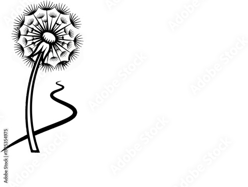 Delicate dandelion seed head on a stem with a winding line