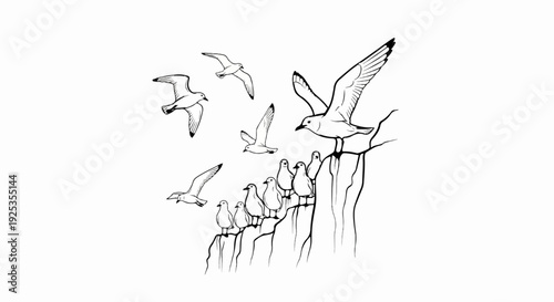 Flock of birds perched on a cliff, some flying overhead