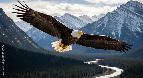 Wallpaper Mural Bald Eagle Soaring Over Mountain Landscape. Torontodigital.ca