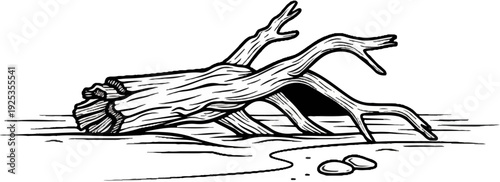 Textured driftwood logs rest on a sandy shoreline with pebbles