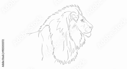 A sketch of a lion's profile, showing its mane and facial features