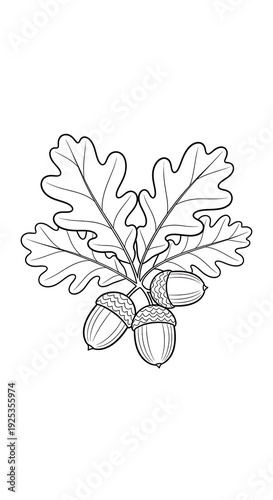Wallpaper Mural Black and White Oak Leaves and Acorns Illustration. Torontodigital.ca