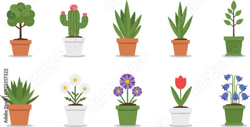 Colorful Collection of Flat Vector Houseplants and Spring Flowers in Decorative Pots Including Cactus Daisy Tulip and Succulents for Modern Interior Design Graphics