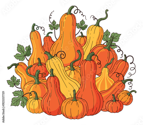Hand drawn line art squash set featuring various orange and yellow pumpkins and gourds with green leaves and tendrils for autumn harvest designs
