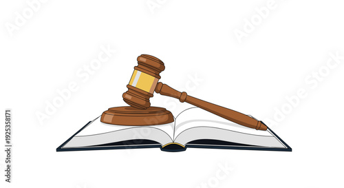 A traditional wooden gavel with a prominent golden band is positioned atop an open law book against a plain white backdrop.