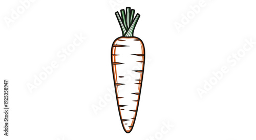 Fresh Carrot with Green Stems, Isolated on White Background, Healthy Food Ingredient