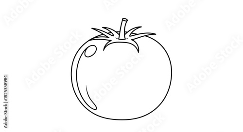 Fresh Tomato Outline Drawing, Simple Line Art Illustration of a Ripe Red Tomato