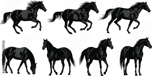 Black horse silhouette collection featuring running galloping and standing poses detailed equine vector illustration isolated on white