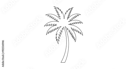 Simple Line Drawing of Palm Tree.