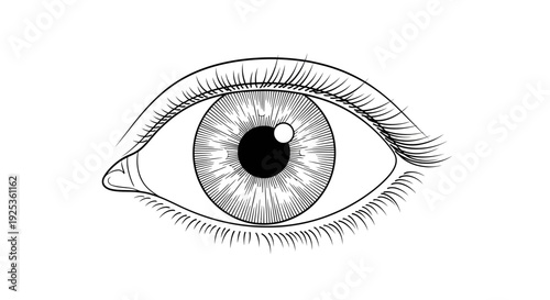 Detailed Black and White Illustration of a Human Eye with Iris and Pupil