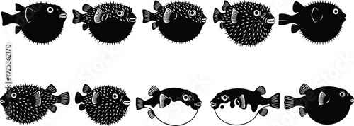 Collection of black pufferfish silhouettes featuring various blowfish species with spines and rounded bodies isolated on a white background vector