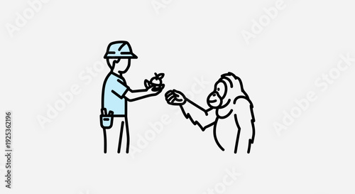 Zookeeper feeding orangutan fruit, zoo interaction, animal care, conservation, wildlife, orangutan feeding