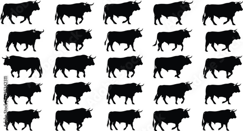Collection of Bull Silhouette Set Showing Different Walking and Standing Poses Isolated on White Background for Livestock Agriculture Design Concept