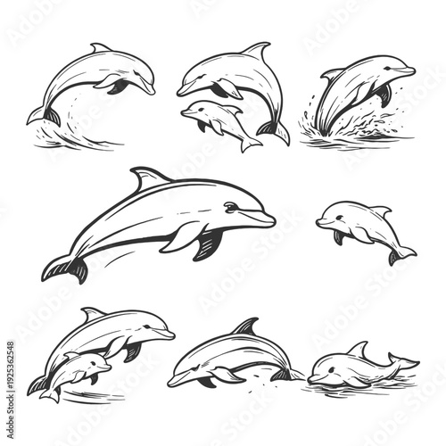 Bottlenose Dolphin Vector Illustration Set Featuring Jumping and Swimming Poses in Detailed Hand Drawn Black and White Vintage Line Art Style