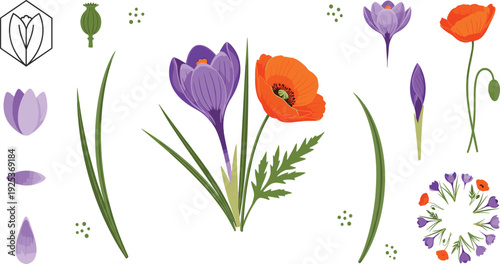 Spring Crocus and Poppy Flower Botanical Vector Collection with Leaves Buds and Floral Elements for Wedding Invitation and Nature Design.