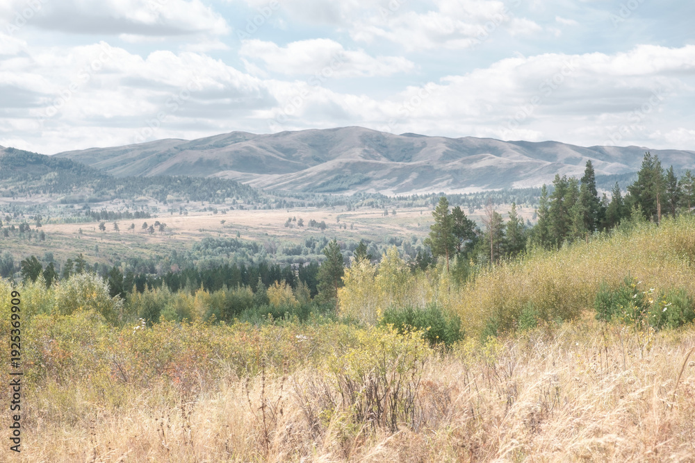 Fototapeta premium Foothills of the Southern Altai, Eastern Kazakhstan. View of treeless slopes and woodlands under a cloudy sky. Natural pastel colors of autumn. 