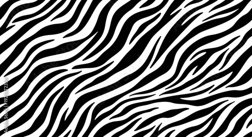 Black and White Zebra Stripes Pattern Abstract Background.