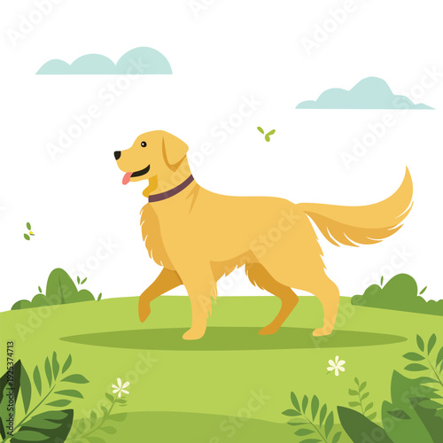 Golden retriever dog walking on grass under a blue sky
