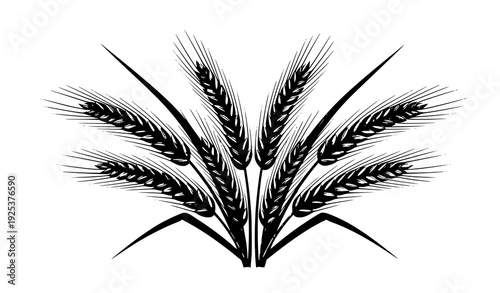 Golden Wheat Ears Vector Illustration Organic Agriculture Harvest