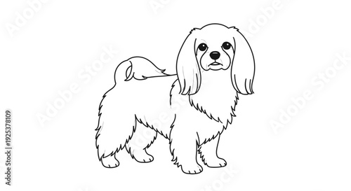 Cute Cavalier King Charles Spaniel Dog Outline Drawing, Vector Illustration