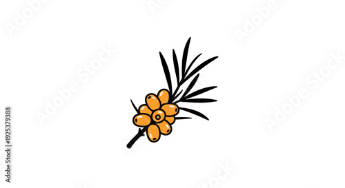 Sea Buckthorn Branch with Orange Berries and Leaves, Hand-Drawn Style