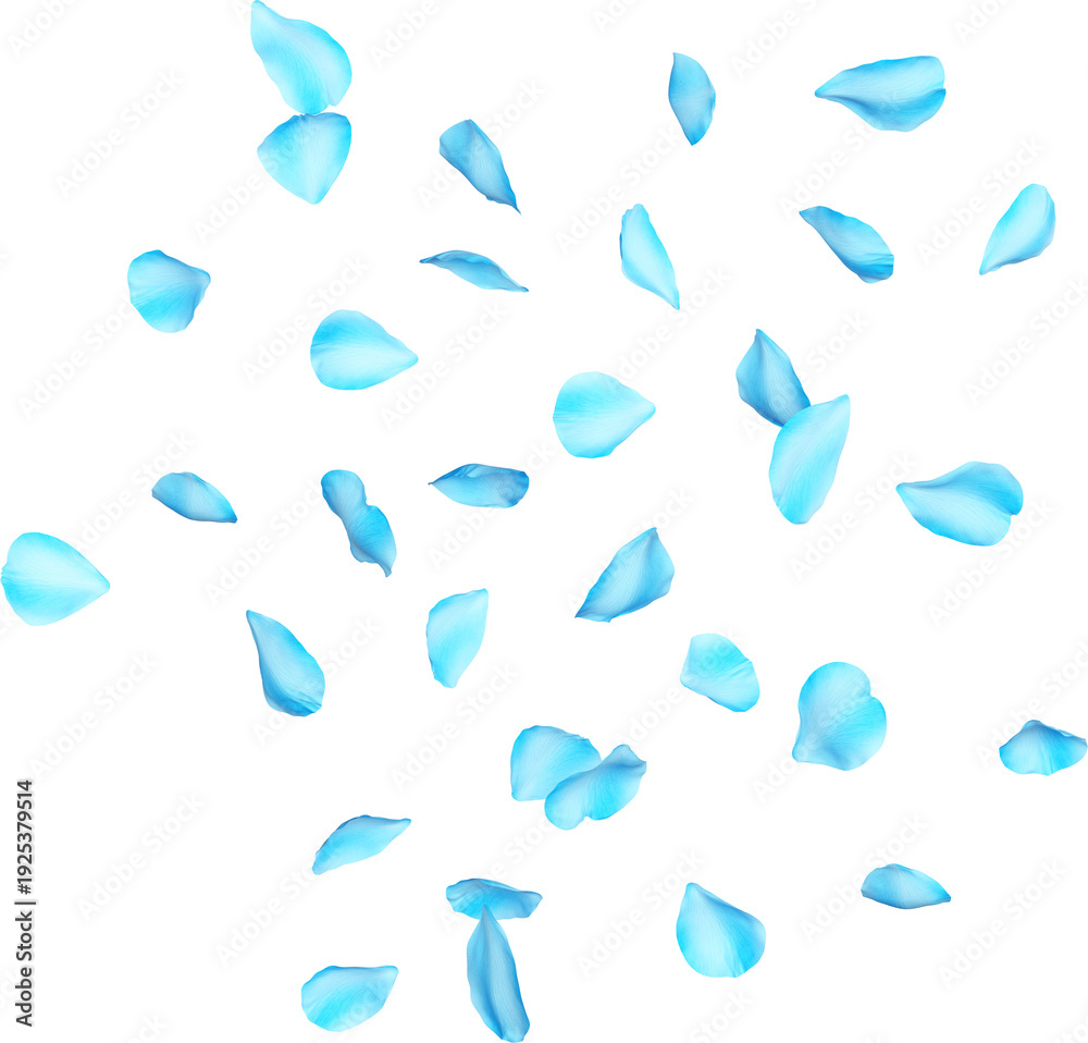 Fototapeta premium Blue Camellia Flower and Petals