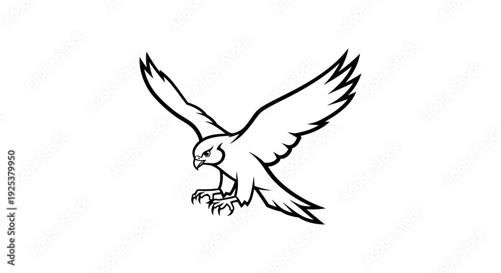 Obraz premium Flying Falcon or Hawk Bird of Prey Outline Illustration