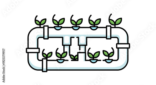 Hydroponic System Growing Plants in Water, Sustainable Agriculture Concept