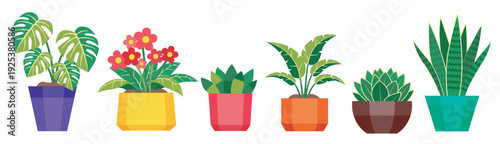 Colorful Potted Houseplants Flat Design Vector Illustration Set for home decoration