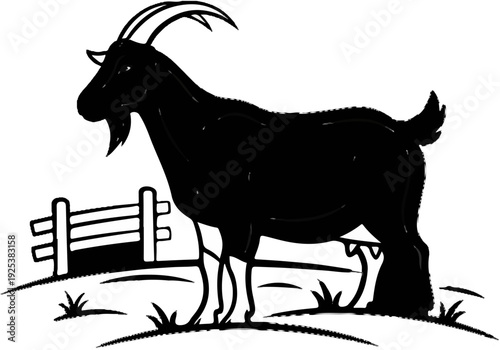 Black goat with horns and beard stands near a fence in a grassy field