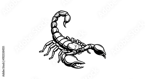 Detailed Black and White Scorpion Illustration with Aggressive Pose