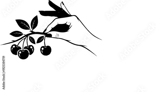 A stylized black and white illustration of cherries on a branch