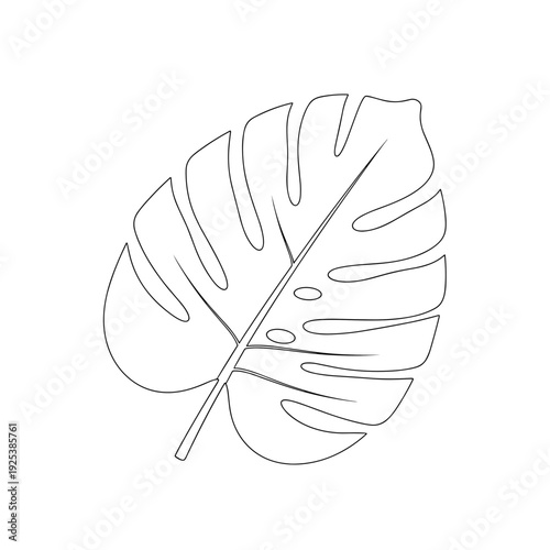 Minimalist outline drawing of a tropical Monstera deliciosa leaf with holes.