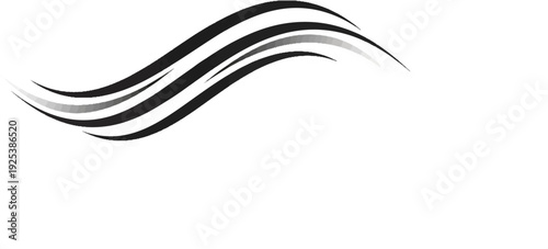 Black and grey smooth wavy lines gracefully flow across a white background