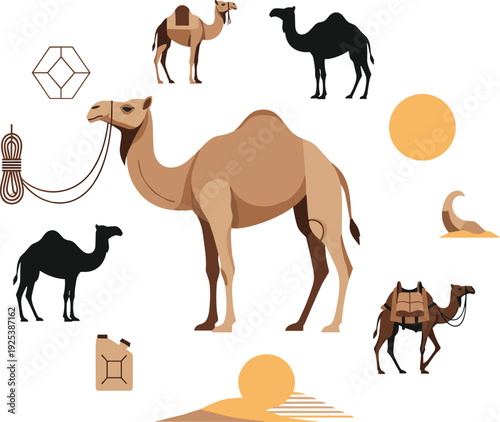Camel Animal Vector Collection Desert Dromedary with Caravan Silhouette Rope Saddle and Sun for Travel Nomadic and Safari Design.