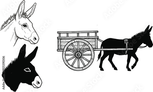 Donkey with wooden cart and head sketches farm animal mule burro black white vintage vector illustration set