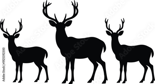 Deer silhouettes collection featuring majestic stag and buck with antlers in side view poses isolated on white background, wild forest animal set