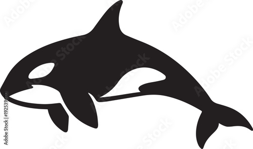 Stylized black and white orca killer whale silhouette illustration