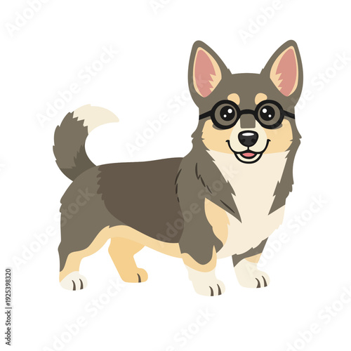 Cute Swedish Vallhund Dog Cartoon Illustration with Glasses Isolated on white Background
