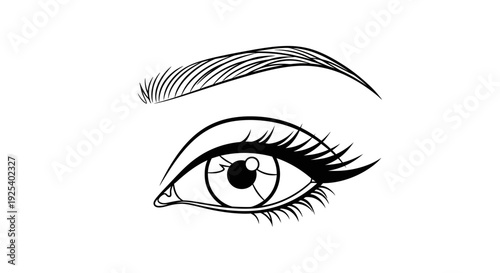 Elegant Woman's Eye with Defined Eyebrow and Eyelashes - Black and White Line Art