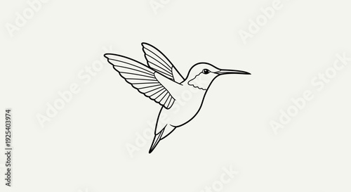 Minimalist Line Art Drawing of a Hummingbird in Flight