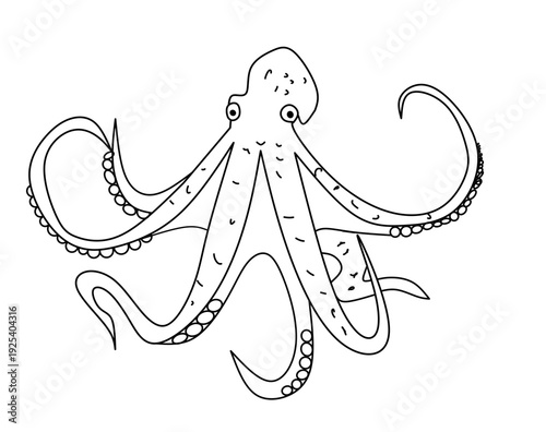 Vector image of an Octopus, hand-drawn