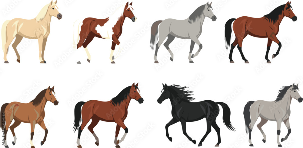 Obraz premium Horse Breeds Vector Set with Running and Standing Horses Isolated Equestrian Animal Collection