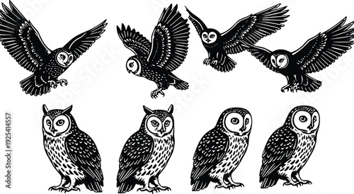 Owl silhouette collection, black and white flying and perched owl set, detailed nocturnal bird illustration, wildlife vector design isolated
