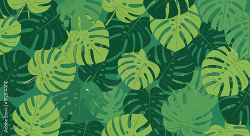 Tropical green monstera leaf pattern background vibrant botanical design with varying shades of lush foliage for a natural and organic aesthetic
