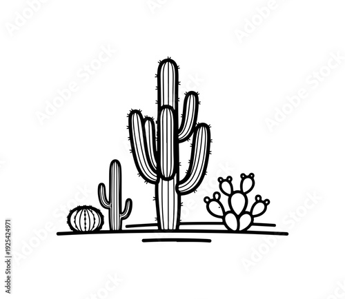 Desert Cacti Landscape
